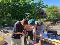 Drei Personen arbeiten gemeinsam draußen an einem Holzprojekt, wobei eine Person mit einem Akkuschrauber ein Brett fixiert und die anderen beim Ausrichten helfen. Die Szene spielt auf einer sonnigen Terrasse mit vielen Bäumen im Hintergrund.